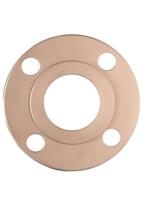 P009- Forged Pipe Flange